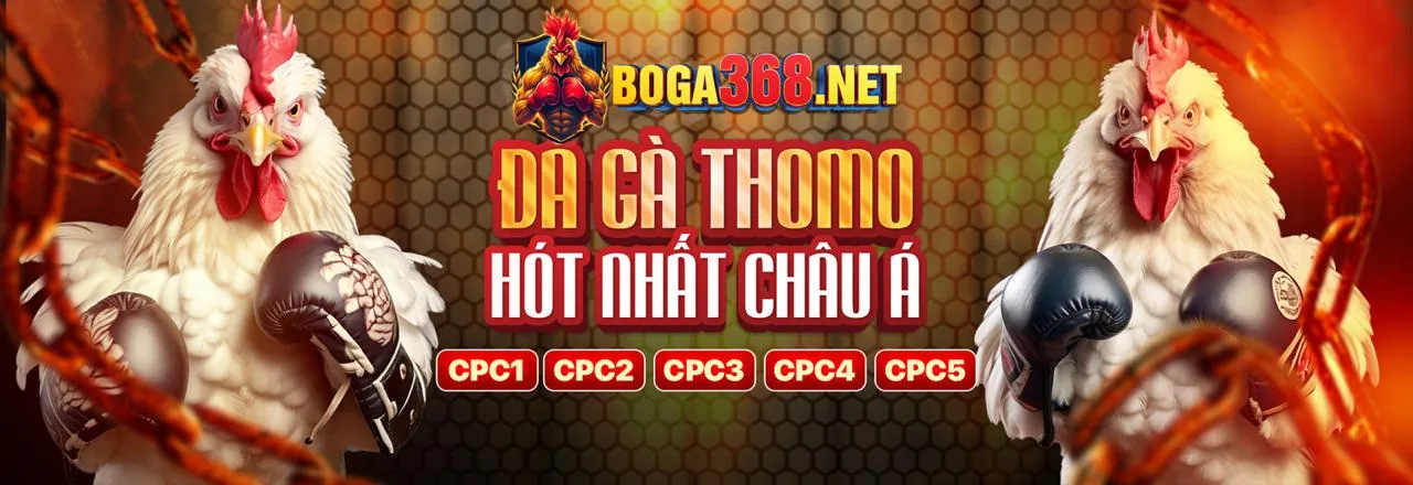 Tin tức và cập nhật mới nhất từ viva88net nhà cái